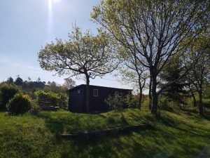 Sommeridyl i sommerhuset & forårsdrømme
