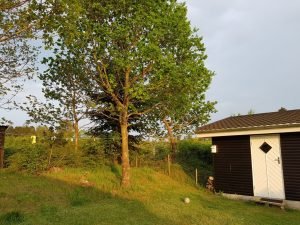 Sommerhus - et lille bitte eventyr med ind i hverdagen