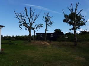 Sommerhus