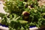 Salat med grønkål, æble og tranebær - grov og rustik