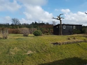Sommerhus