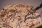 Svenske chokoladebrød - nemme og lækre