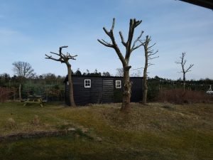 Sommerhus