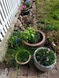 Krukker med forårsblomster
