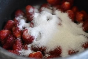 Jordbærmarmelade opskrift på jordbær syltetøj