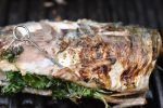 Grillet makrel med persille - makrel på grill