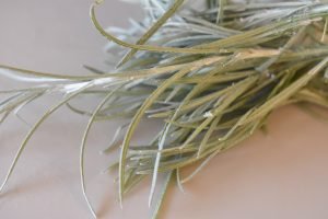 Dressing til coleslaw - nem sund opskrift