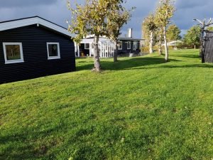 Haven i sommerhuset - en smuk grøn oase