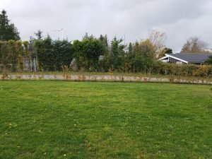 Haven i sommerhuset - en smuk grøn oase