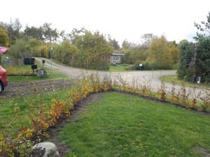 Haven i sommerhuset - en smuk grøn oase