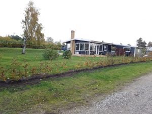 Haven i sommerhuset - en smuk grøn oase