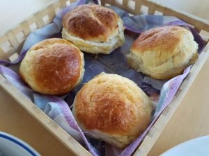 Fastelavnsboller