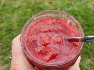 Rabarberkompot - nem kompot med rabarber