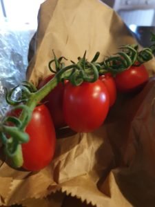 De første lykkeglimt fra eventyrlige Toscana