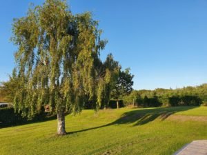 Sommerhus