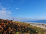 Skønne efterårsglimt