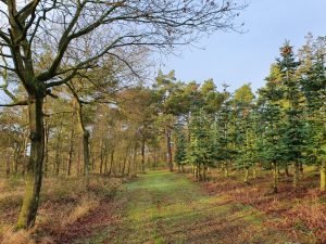 Naturbilleder