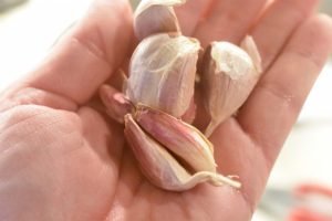 Mørbradgryde med sennep, bacon & fløde