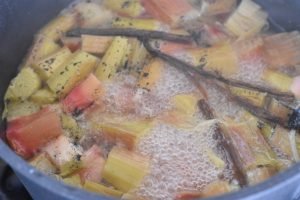 Rabarbersaft - hjemmelavet saft nem opskrift