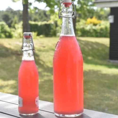Rabarbersaft – hjemmelavet saft nem opskrift