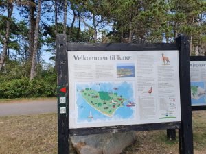 Tunø - endagstur med færgen til bilfrie Tunø