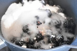 Brombærkompot - nem kompot med brombær 