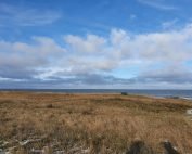 Corona living apart i sommerhus - mit liv lige nu