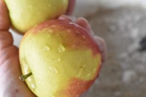 Æbler - opskrifter på kager, desserter og mad