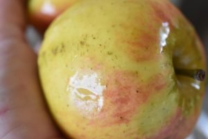 Æbler - opskrifter på kager, desserter og mad