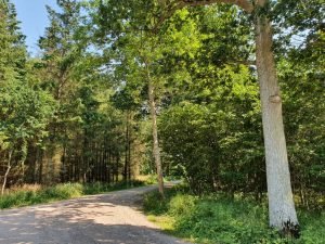 Meilgaard slotskro - på cykeltur i Meilgaard skov