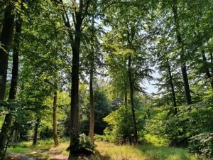 Meilgaard slotskro - på cykeltur i Meilgaard skov