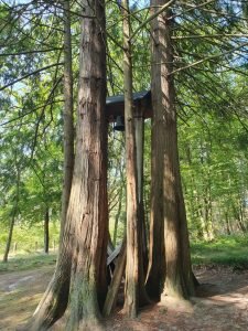 Meilgaard slotskro - på cykeltur i Meilgaard skov