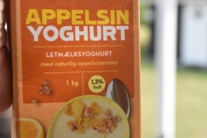 Chokoladekage med appelsin yoghurt uden æg