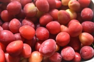 Mirabelle marmelade med vanilje - opskrift