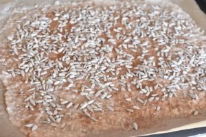 Knækbrød uden mel - grødchips af havregrød