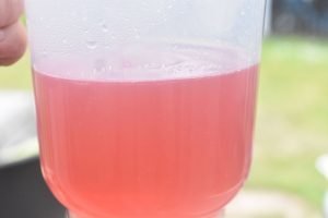 Syrensaft - frisk sommerdrik - saft af syrener