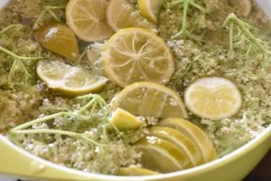 Hyldeblomstsaft - nem opskrift uden citronsyre 
