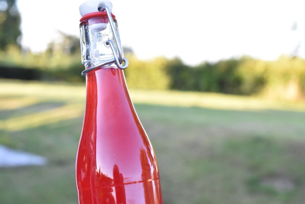 Ribssaft - opskrift på hjemmelavet saft med ribs