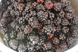 Nem brombærmarmelade i mikroovn - opskrift