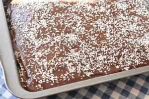 Chokoladekage med kokos - opskrift på kakaokage i bradepande